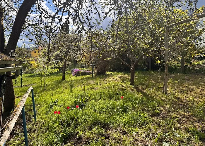 Appartement Hubertus *